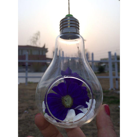 Hanging Glass Bulb Vase