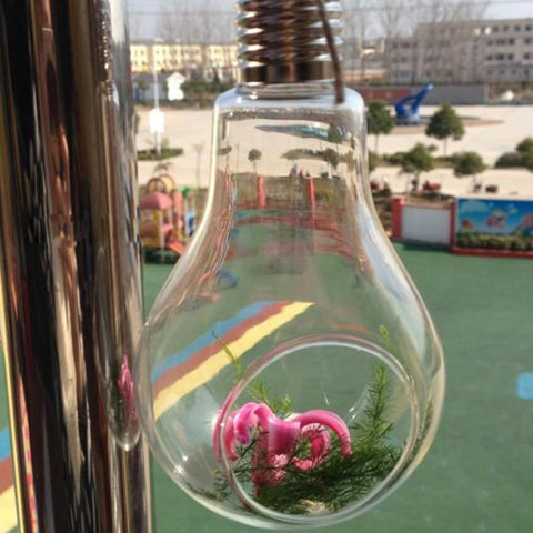 Hanging Glass Bulb Vase