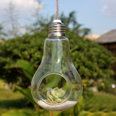 Hanging Glass Bulb Vase