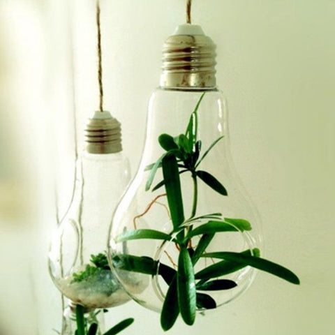 Hanging Glass Bulb Vase