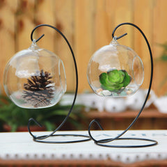 Hanging Glass Vase
