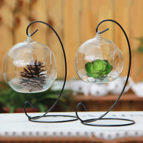 Hanging Glass Vase
