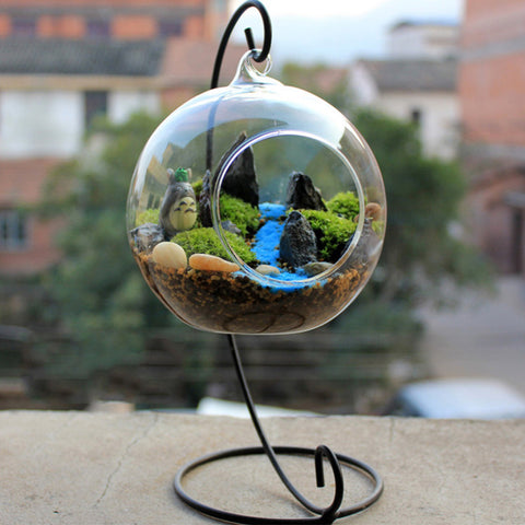 Hanging Glass Vase