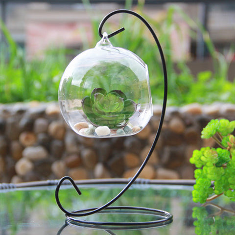 Hanging Glass Vase