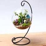 Hanging Glass Vase